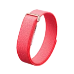 Google Fitbit Air